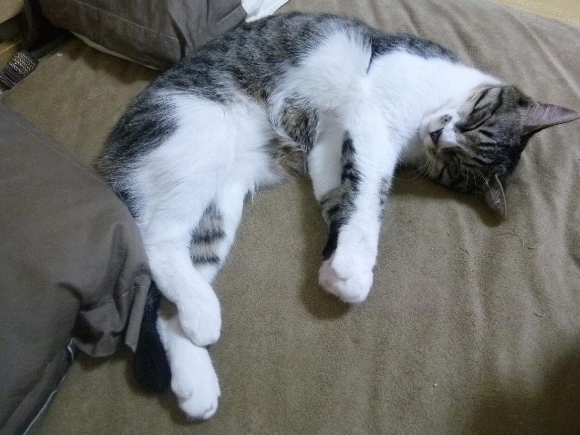 开云体育中国官方网站-_勇士开启无敌三分雨，比赛精彩纷呈_，勇士三节120分