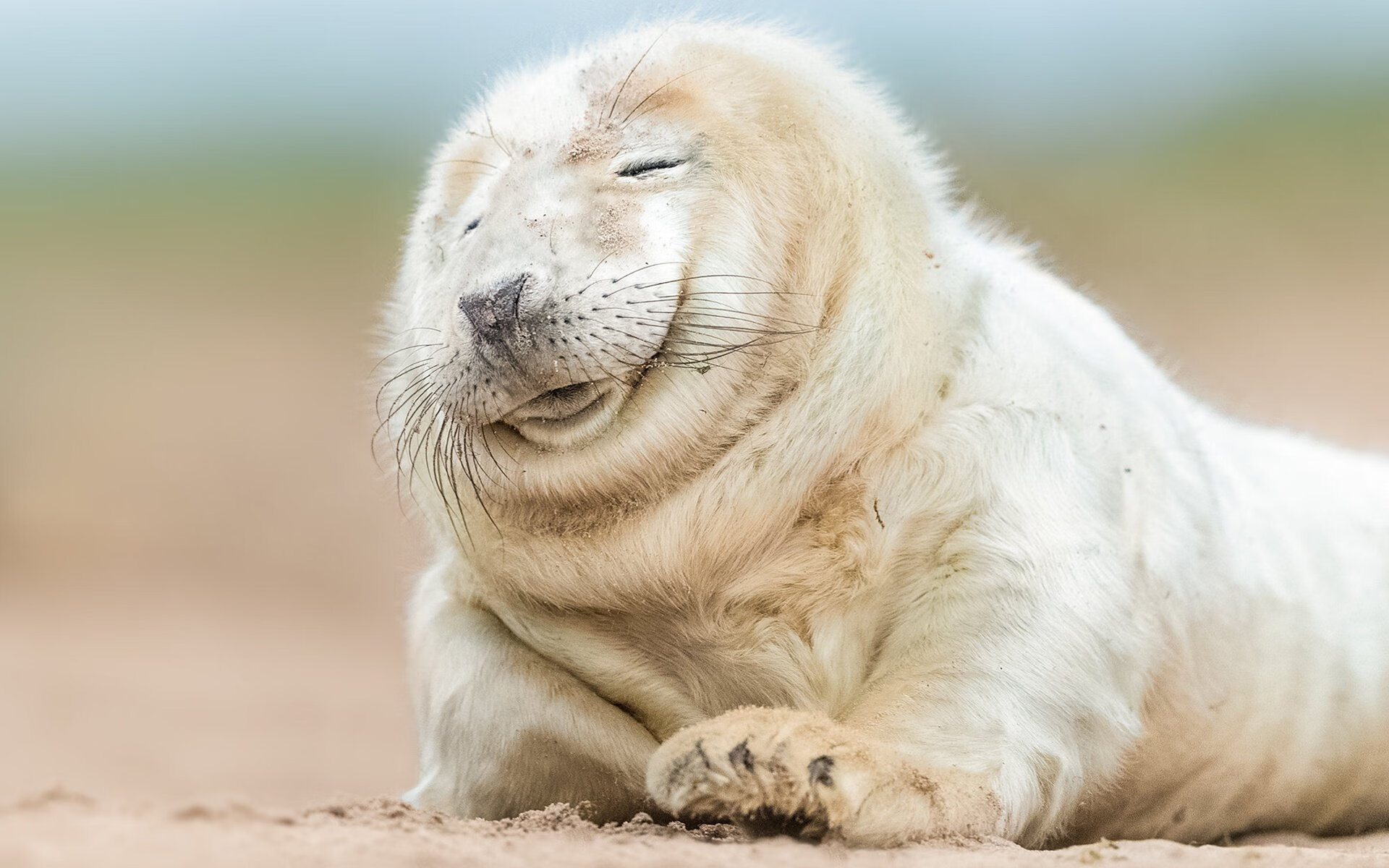 开云体育APP下载-《王者荣耀季中冠军赛，LPL代表队展现霸气》，kpl个赛季冠军